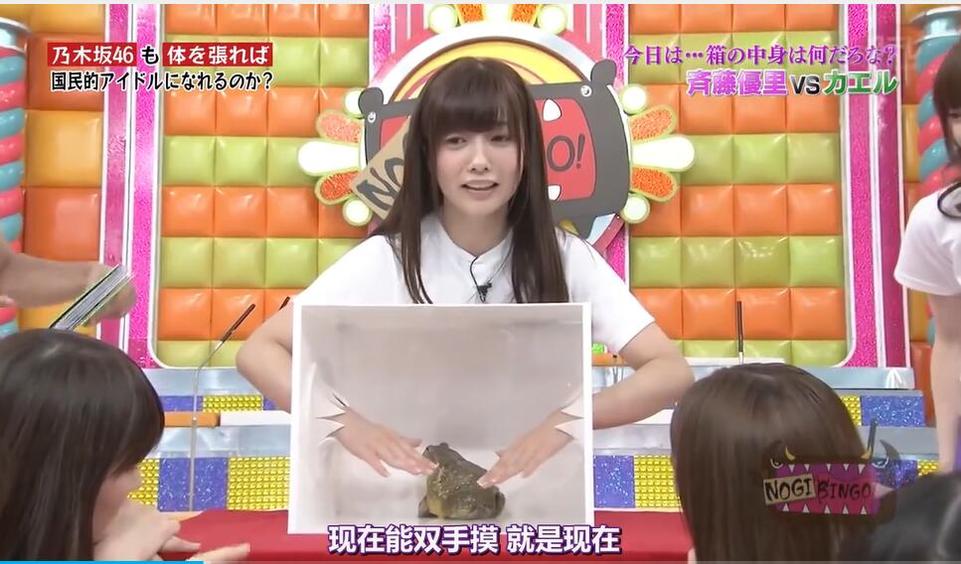 精彩不断，一直在发！《nogibingo!》合集每一期都是你不可错过的