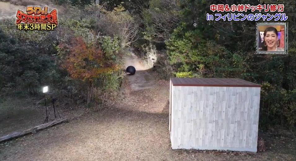 日本综艺节目整蛊王女嘉宾狂撕爱豆偶像包袱