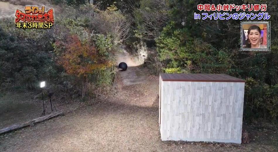 没看过日本综艺节目？尝试一下才知道，那里可以看日本综艺节目？