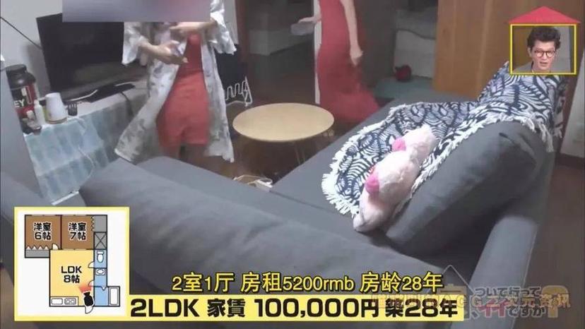 哪个软件可以看日本的综艺节目直播啊？全网最实用的几款推荐